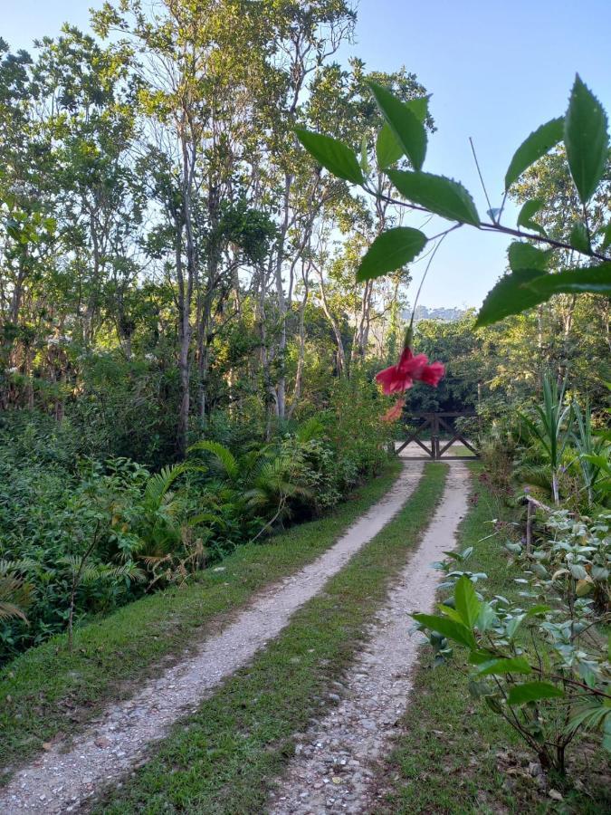 Vila Recanto Dos Lobosco Araquari Exteriér fotografie