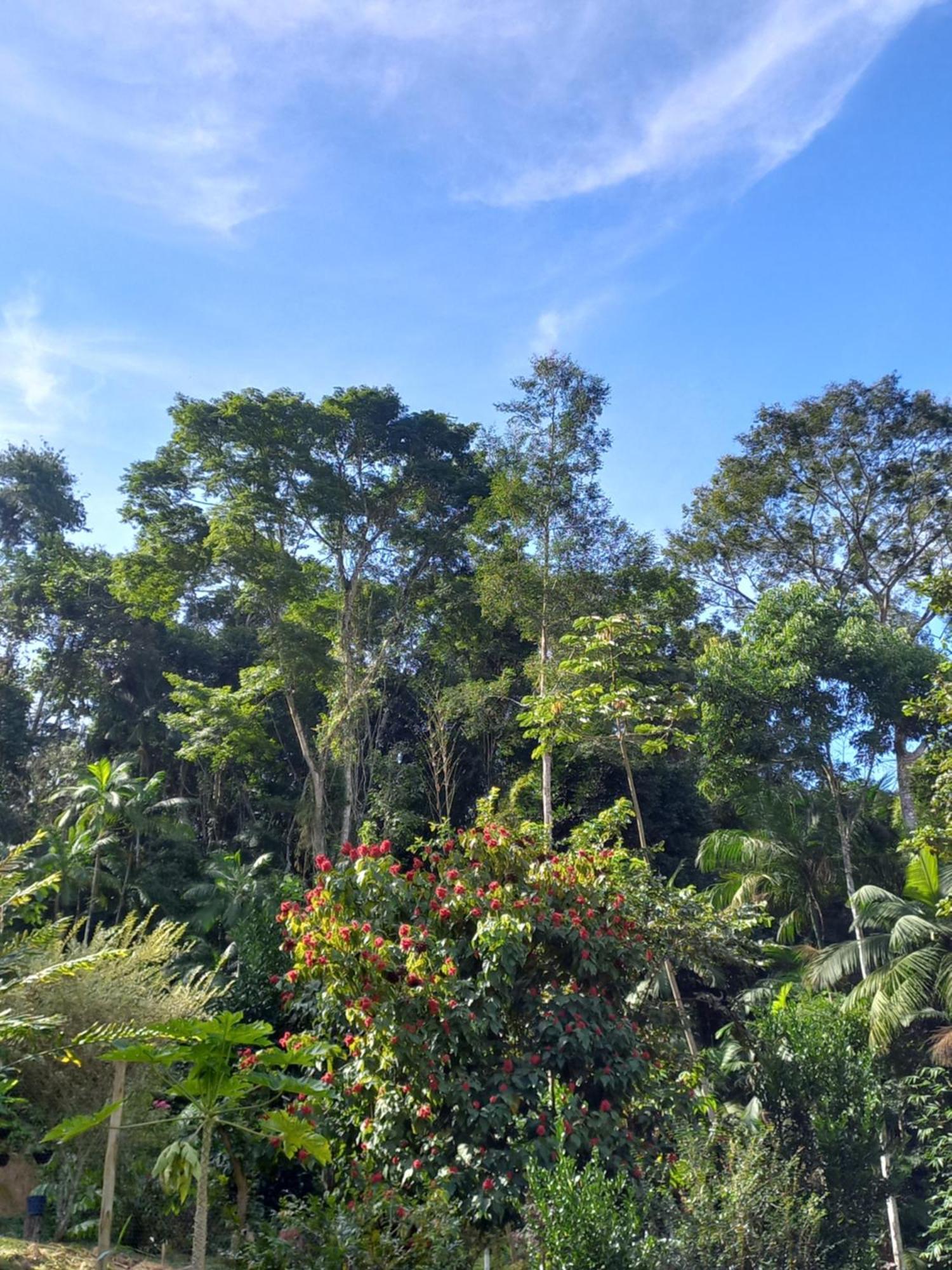 Vila Recanto Dos Lobosco Araquari Exteriér fotografie