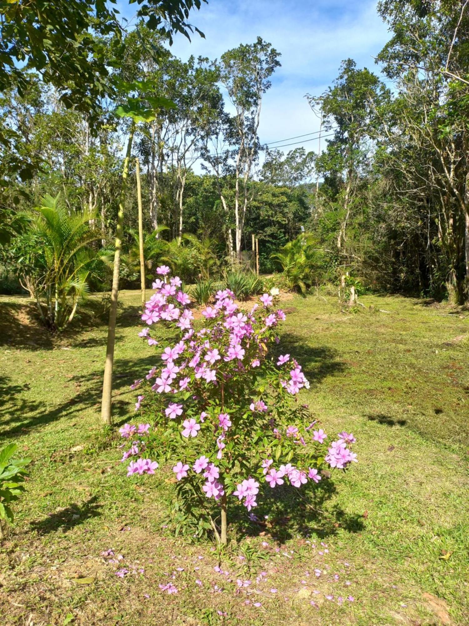 Vila Recanto Dos Lobosco Araquari Exteriér fotografie